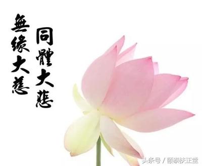 生病了感恩关心我的人