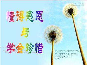 可以感恩什么