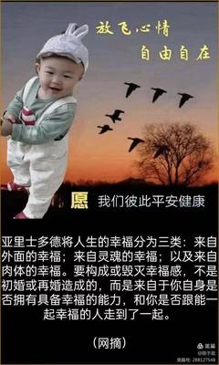 灵魂的自由经典语录