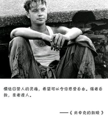 灵魂的自由经典语录