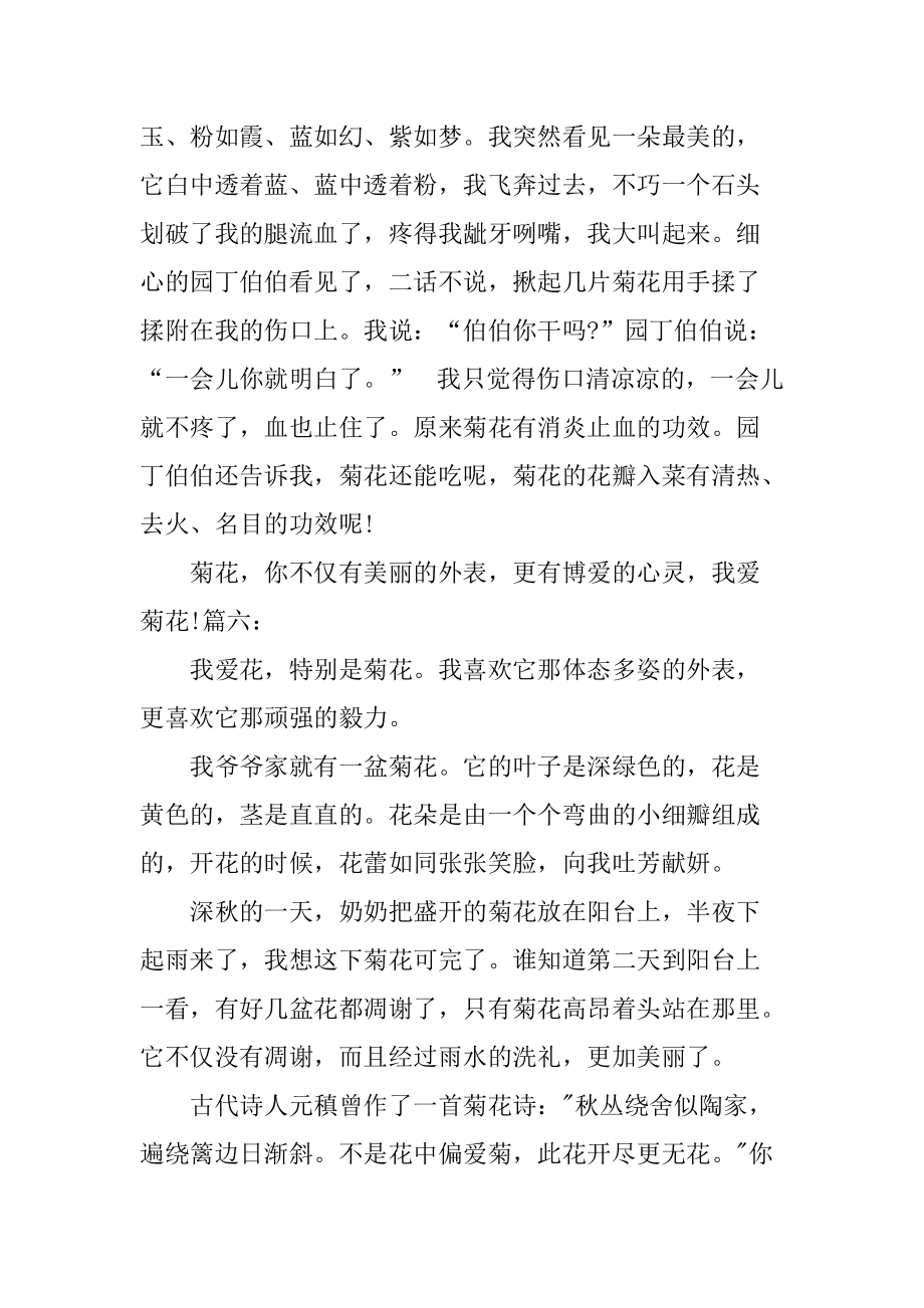 菊花作文100字