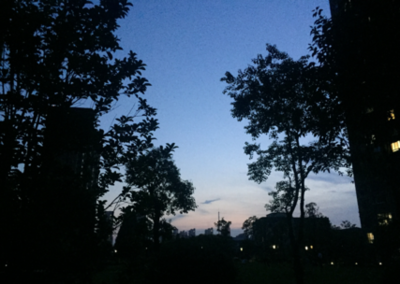描写夏天雨后的句子