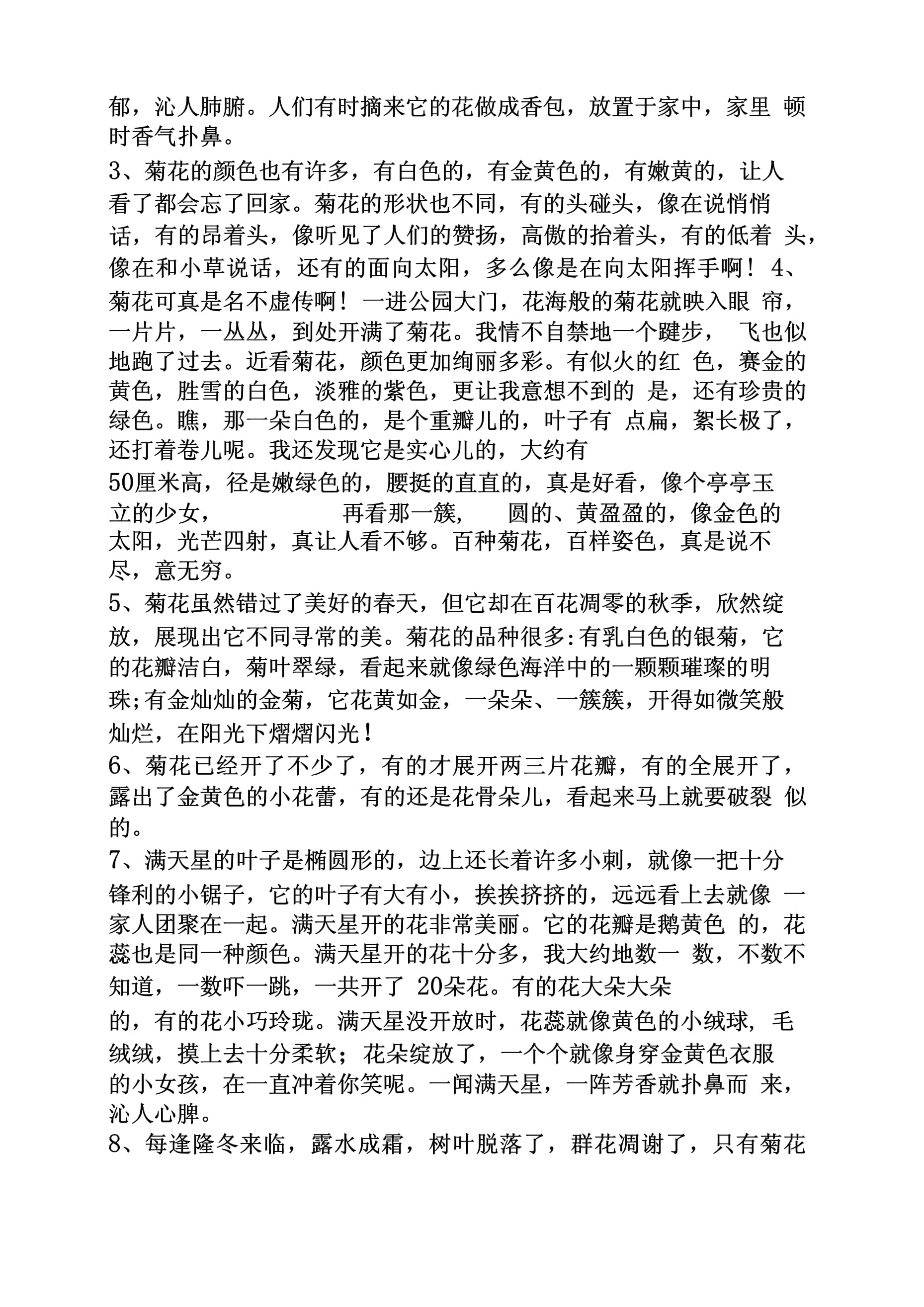 菊花作文100字