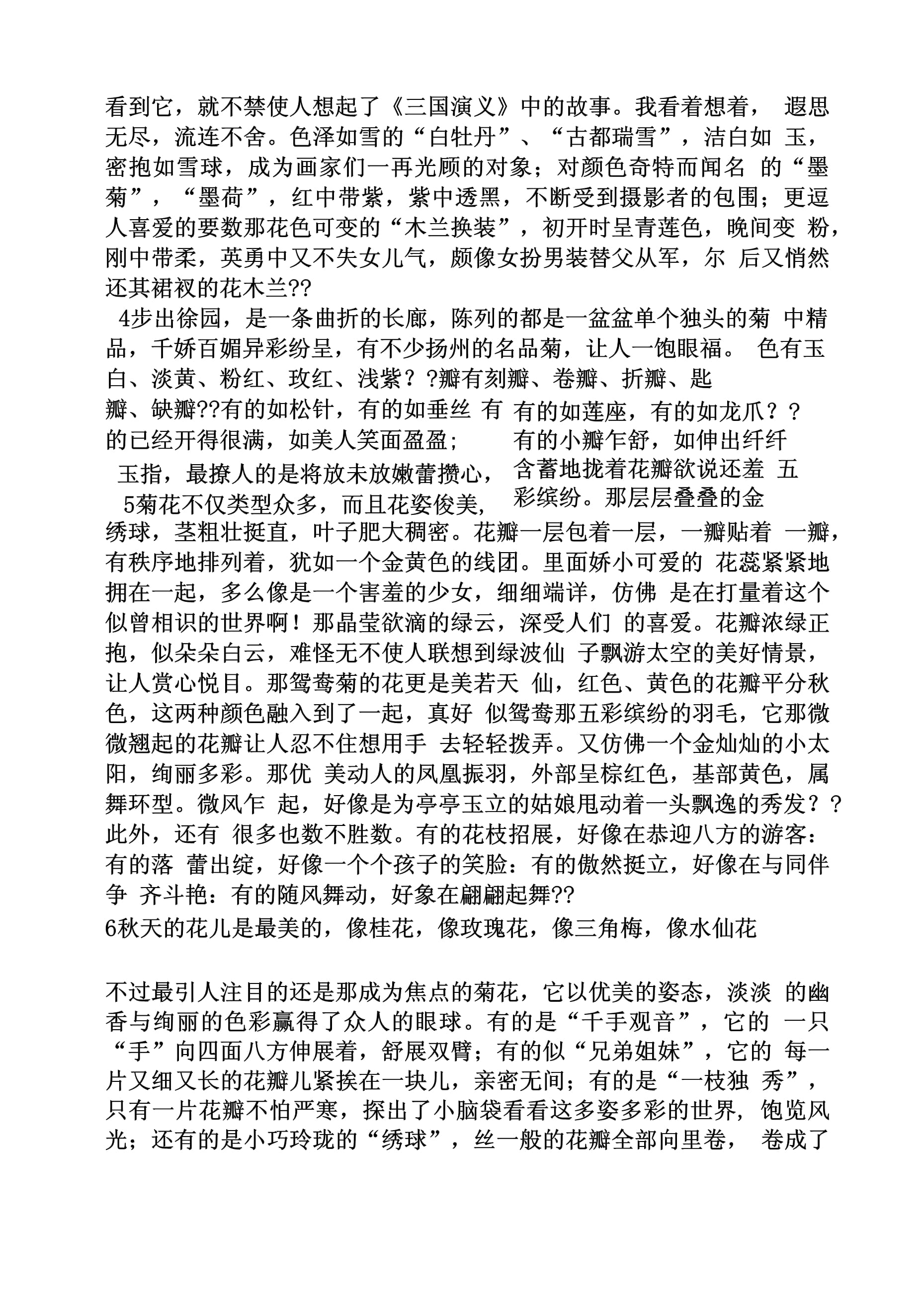 菊花作文100字