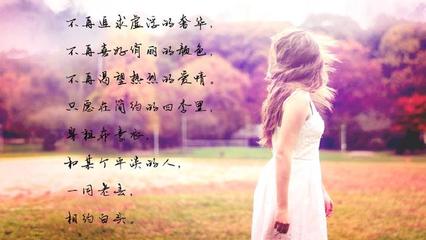 关于爱情的语句