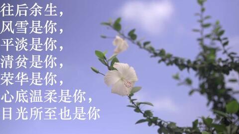 关于爱情的语句