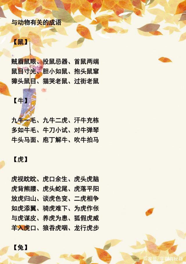 形容人的优秀的词语