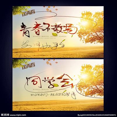 同学聚会感悟
