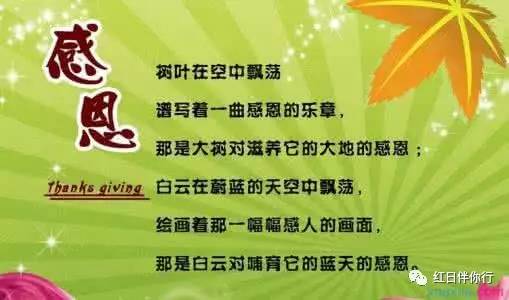 关于感恩的句子