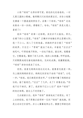 我家的小狗作文200字