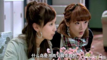 爱情公寓谜语