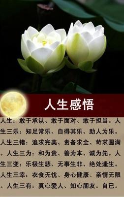 知足常乐的感悟
