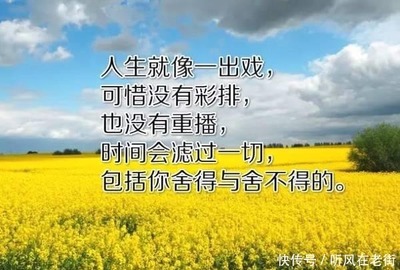 人生没有彩排经典语录