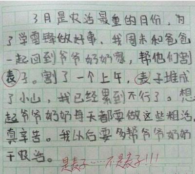家长写给孩子的评语