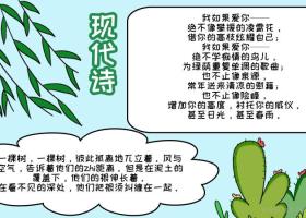 关于夏天的自创诗