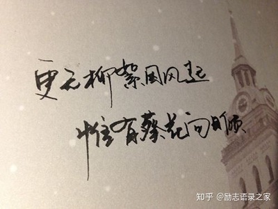 人生没有彩排经典语录
