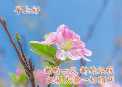 知足常乐的感悟