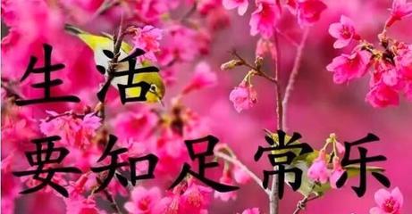 知足常乐的感悟