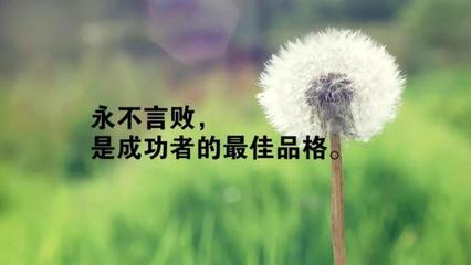 彩虹语录