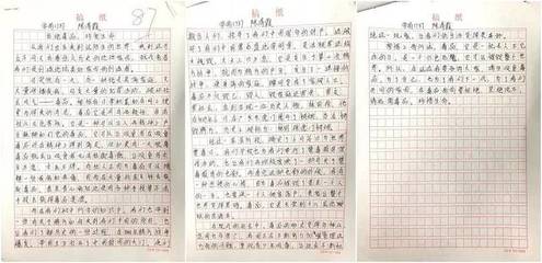 征文大全