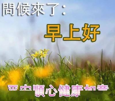 彩虹语录
