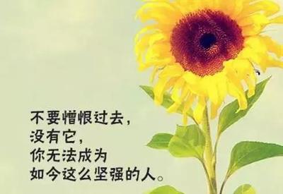 彩虹语录