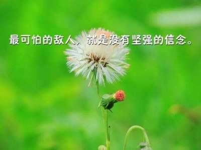原谅别人的经典语录