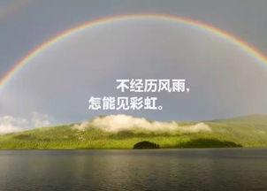 彩虹语录