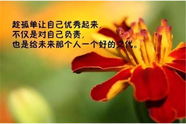 四十岁的感悟