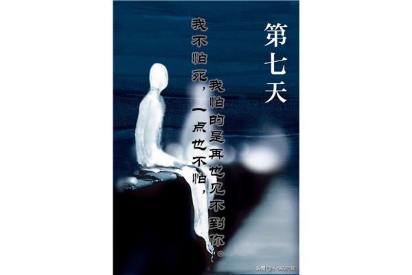 第七天语录