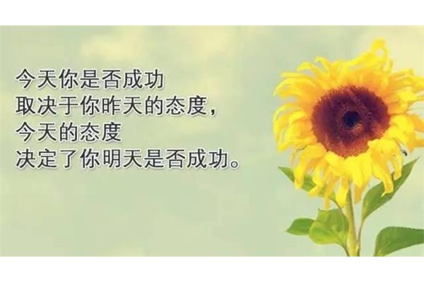第七天语录