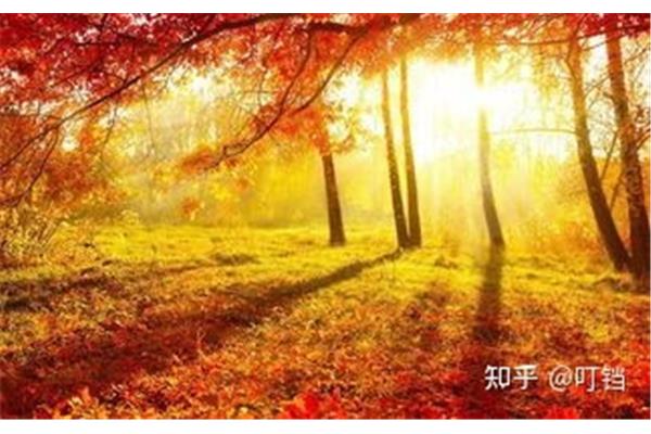 描写秋天的风的句子