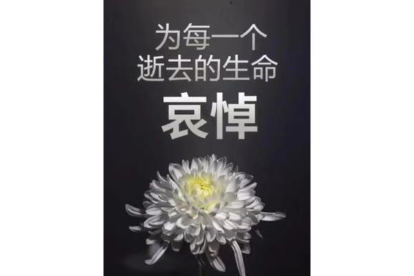 对生命的感悟