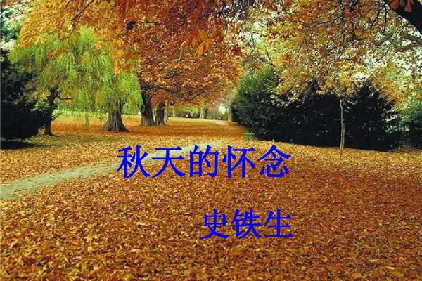 秋天的怀念图片