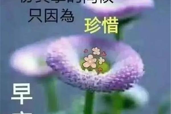 一句话的简单早安说说