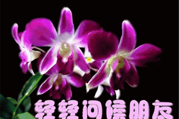 送你一句话