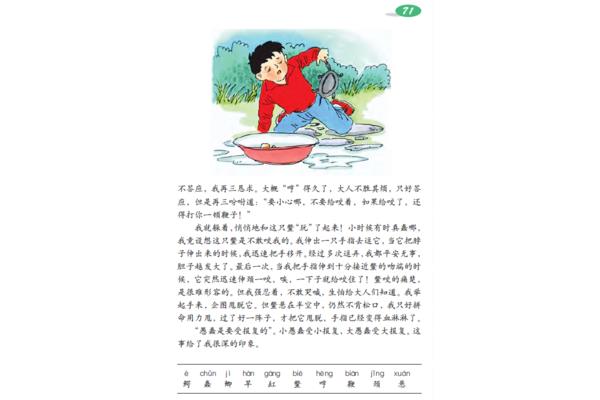 我喜欢的小动物写话