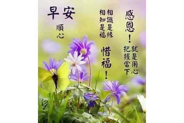 感恩的心态