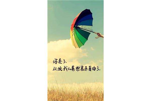 情感语录文字
