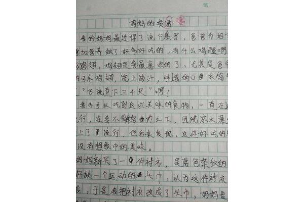记叙文加评语