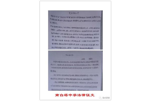 法律征文