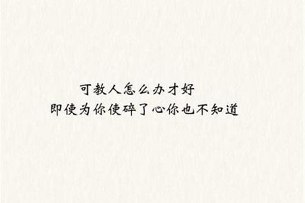 蝴蝶励志语录