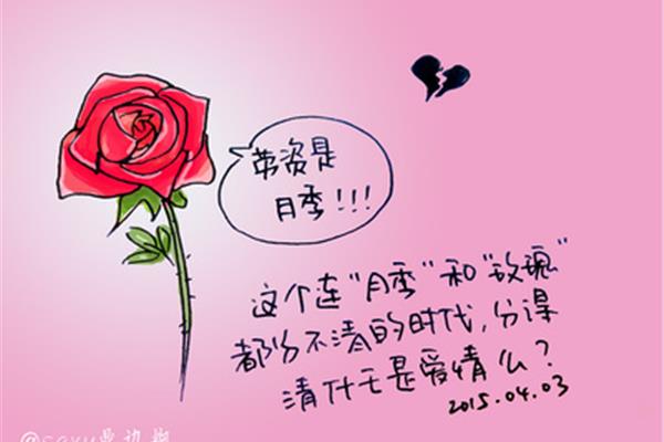 什么的爱情