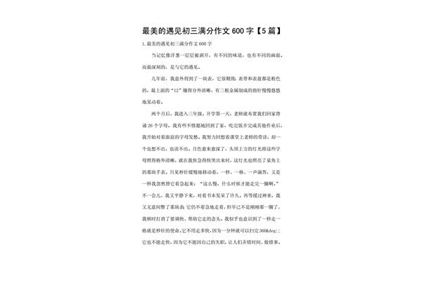 最美的遇见优秀作文