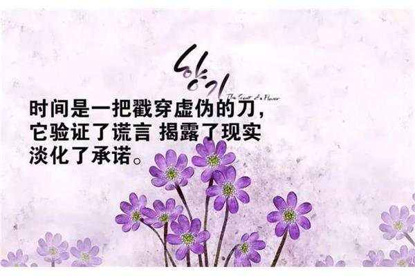 很庆幸遇见你经典语录